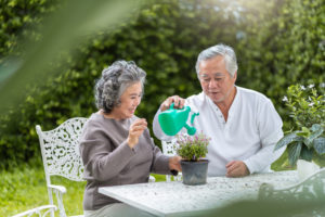 senior wellness - top st. louis home care agency