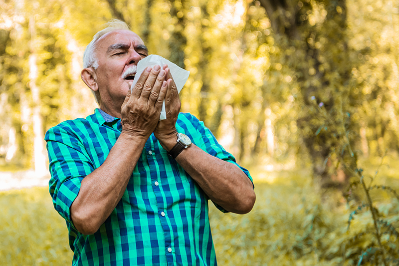 Older man experiencing allergic reactions in the woods, holding a tissue up to his nose and preparing to sneeze